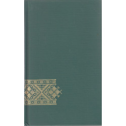 Mu nimi on Morgan : romaan