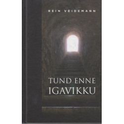 Tund enne igavikku : romaan...