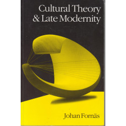 Cultural theory and late...