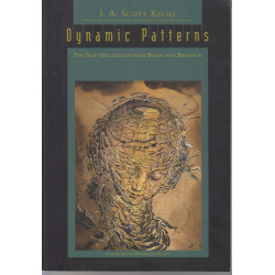Dynamic patterns : the...