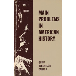 Main problems in American...