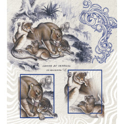 Senegali lõvi poegadega :...