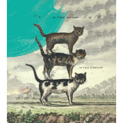 Euroopa metskass. Hispaania...