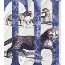 Margai poeg. Leopardid :...