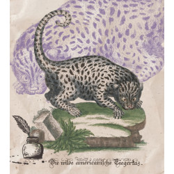 Ontsilla : postkaart