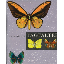 Die schönsten Tagfalter