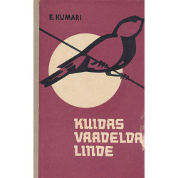 Kuidas vaadelda linde