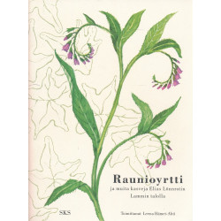 Raunioyrtti ja muita...