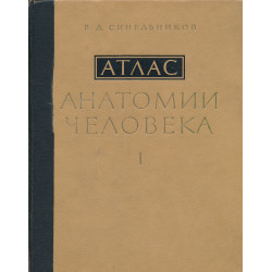 Атлас анатомии человека....