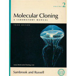 Molecular cloning : a laboratory manual. vol.2.